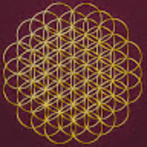 Meet your Posher, Fanny